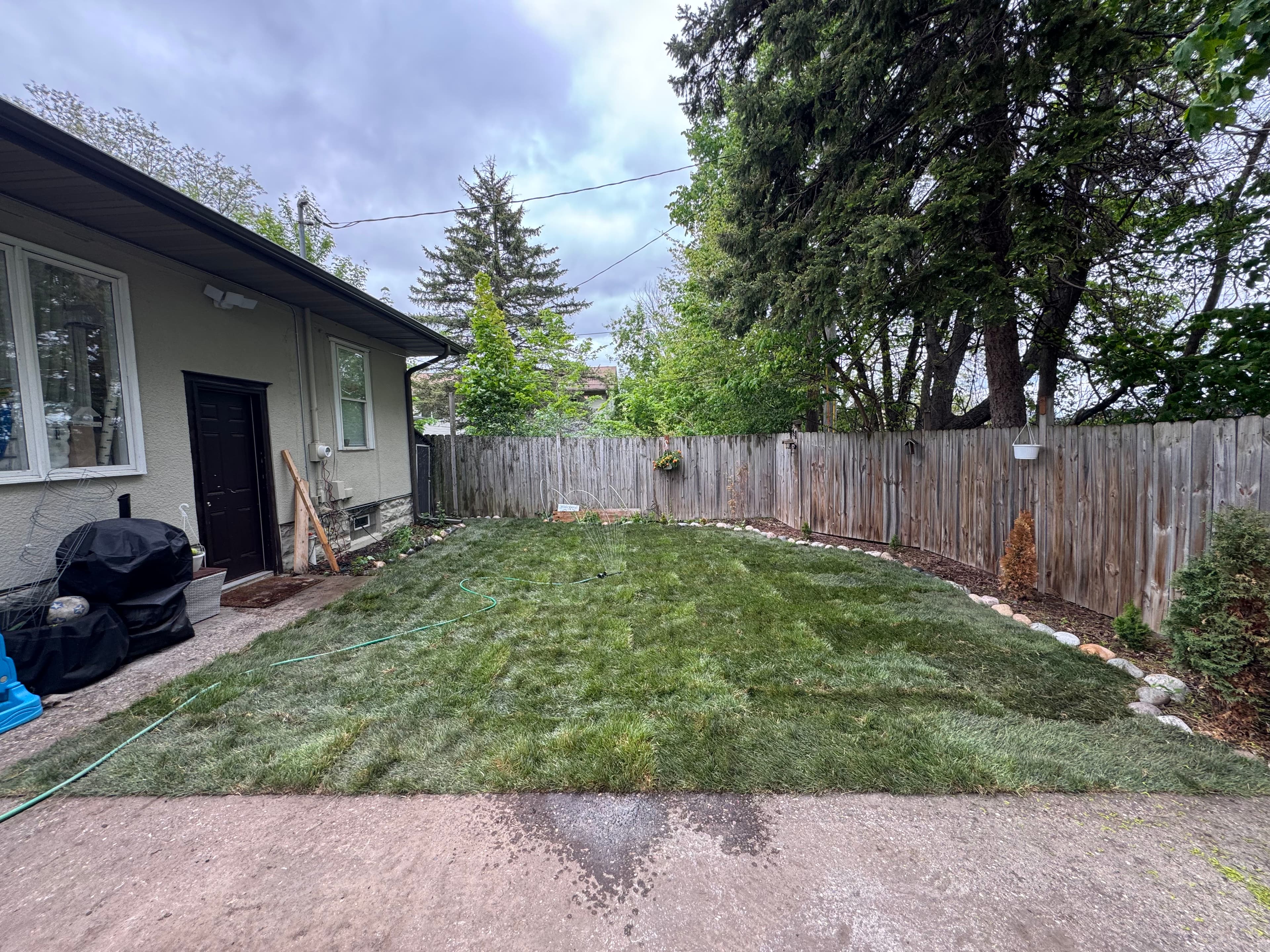 Project Saint Paul Backyard Gets Clean Soil and Fresh Sod image