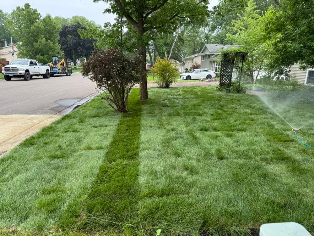 Gallery photos for Fresh Sod Installation Transforms Lawn in Richfield MN: Image #1