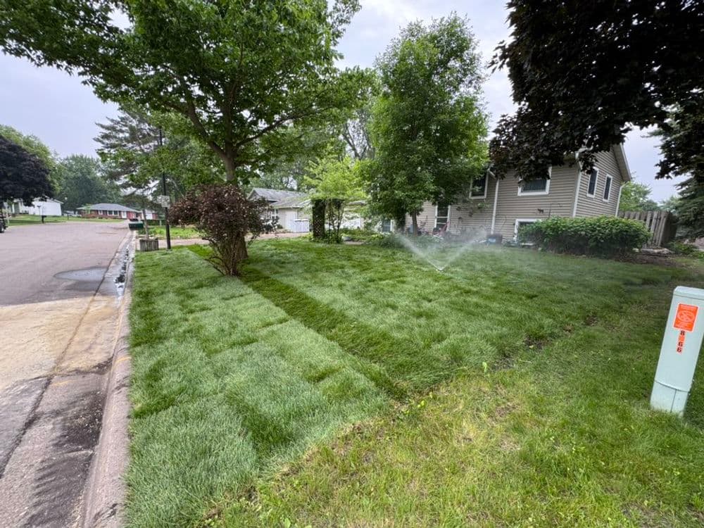 Project Fresh Sod Installation Transforms Lawn in Richfield MN image